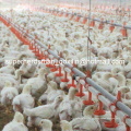 Alimentador y bebedor de aves de corral automático de conjunto completo para pollo de engorde